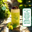 Set Trà xanh dưa lưới