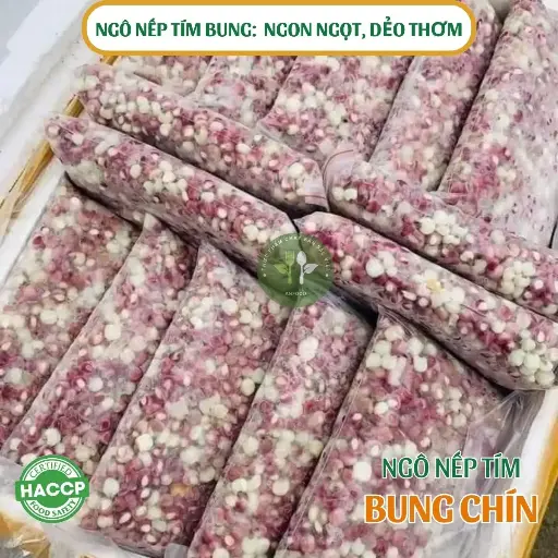 Ngô nếp tím bung